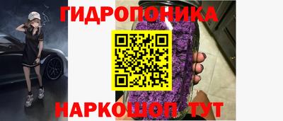 PSILOCYBIN Камышлов
