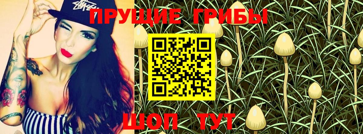 Галлюциногенные грибы Magic Shrooms  Псилоцибиновые грибы ЛСД  Вход с VPN  Кимовск 