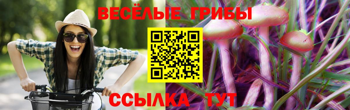 Псилоцибиновые грибы GOLDEN TEACHER Кимовск